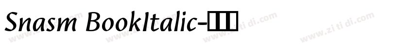Snasm BookItalic字体转换